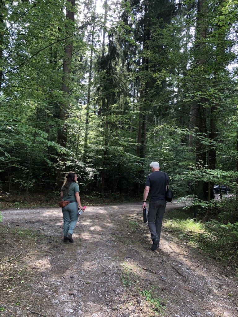 Neue Wege beschreiten: WoodsApp verbindet Waldbesitzer und forstwirtschaftliche Zusammenschlüsse