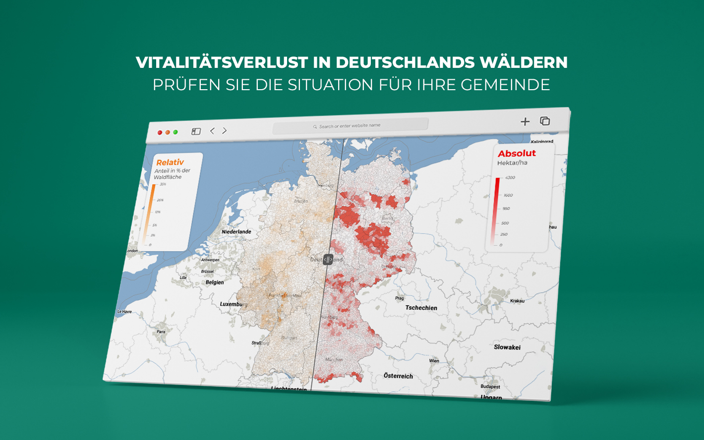 Vitalitätsverlust in Deutschlands Wäldern - Prüfen Sie die Situation für Ihre Gemeinde